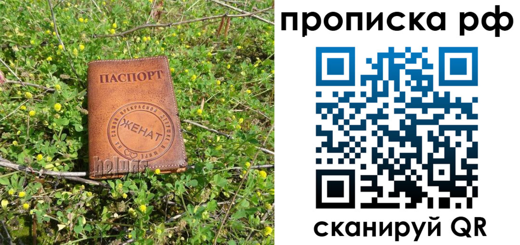 прописка паспорт в Новоаннинском